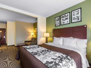 Sleep Inn & Suites Bush Intercontinental - Iah East Humble Rum bild